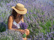 SATURDAY 20 JUNE SCENTSATIONAL DAYS OF SUMMER 12-3
