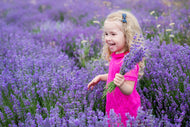 Children's Day on the Farm 13 June 2026 11-3pm