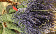 Load image into Gallery viewer, Dried french lavender bouquet