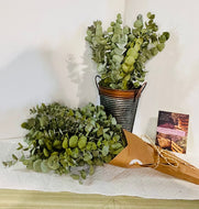 Eucalytptus Bouquet or Shower Bundle