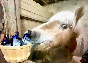 Lavender Horse Shampoo